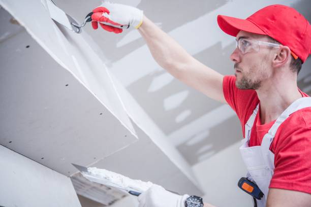 Best Post-Construction Mold Inspection  in Texanna, OK